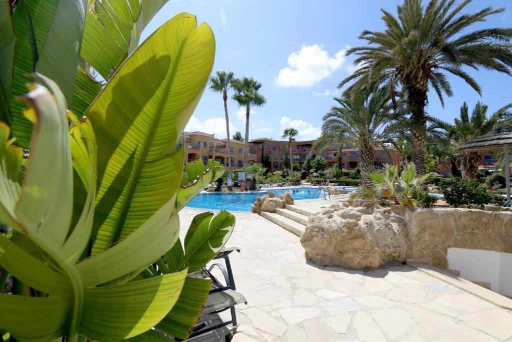 Limnaria Gardens B Lägenhet Paphos Exteriör bild